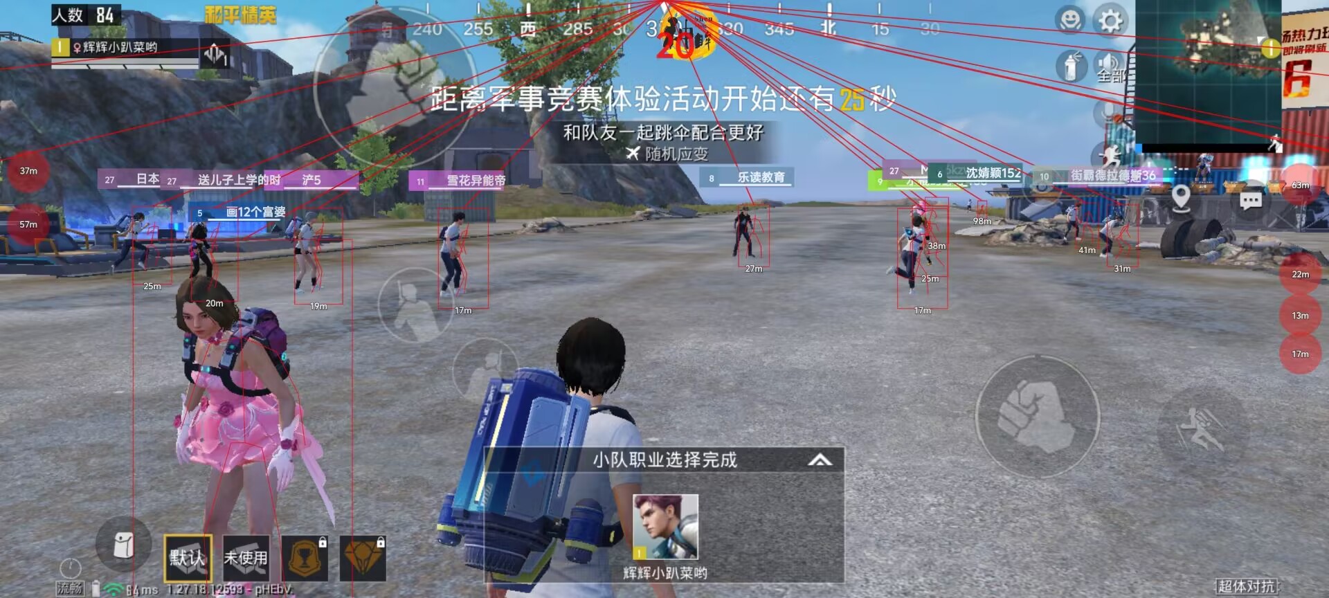和平精英《向日葵》外挂